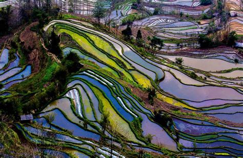 rizière chine canaux